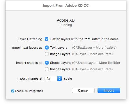 Adobe XD Import Options